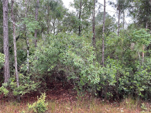 331 Carteret Rd, Georgetown FL, 32139 land for sale