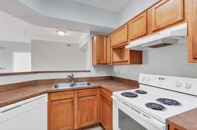 kitchen with white appliances and sink