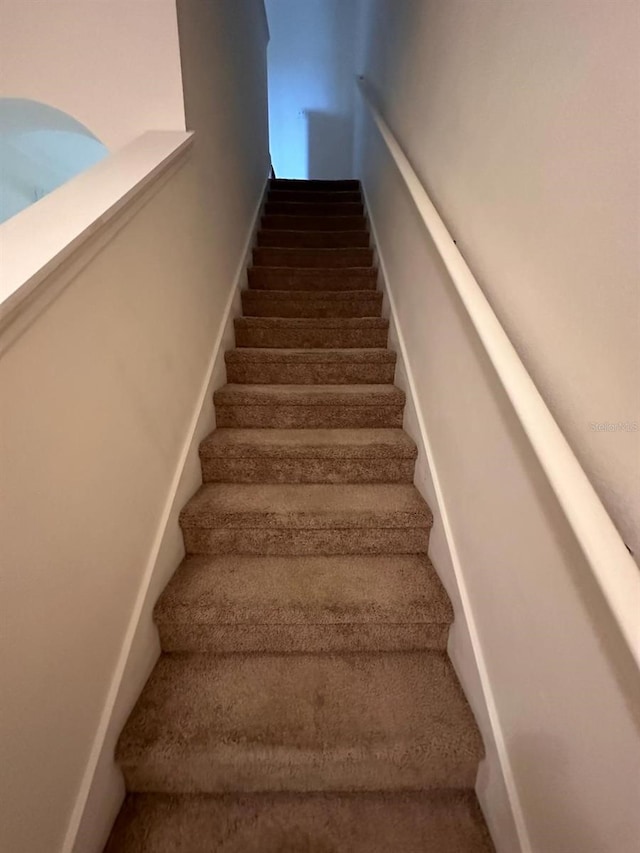 stairs with carpet flooring