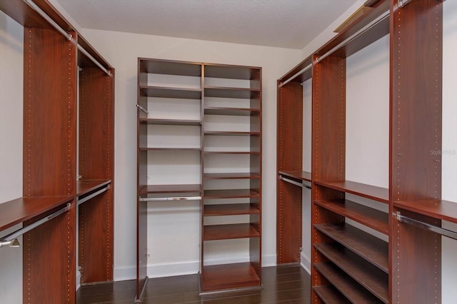 spacious closet featuring dark wood-type flooring