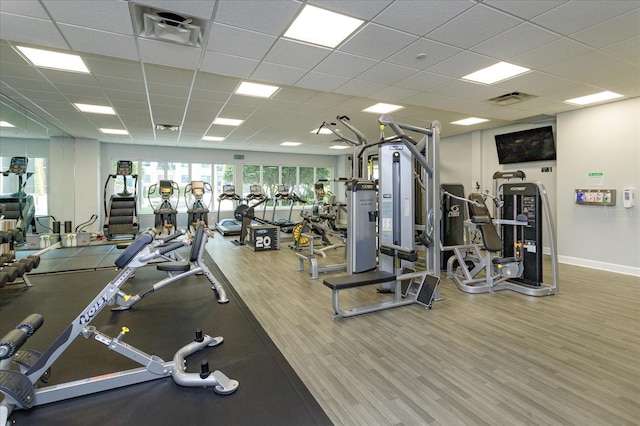 workout area with wood-type flooring and a drop ceiling