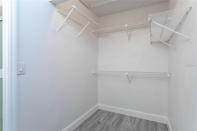 walk in closet with wood-type flooring