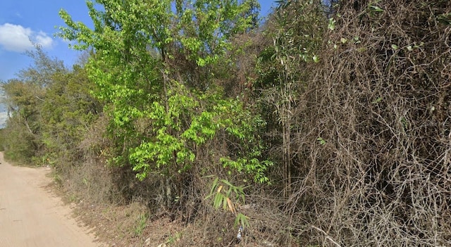 SE 204th Ct, Umatilla FL, 32784 land for sale