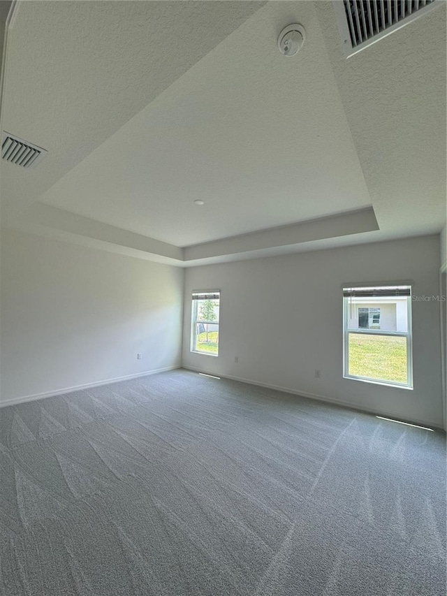 carpeted spare room with a tray ceiling