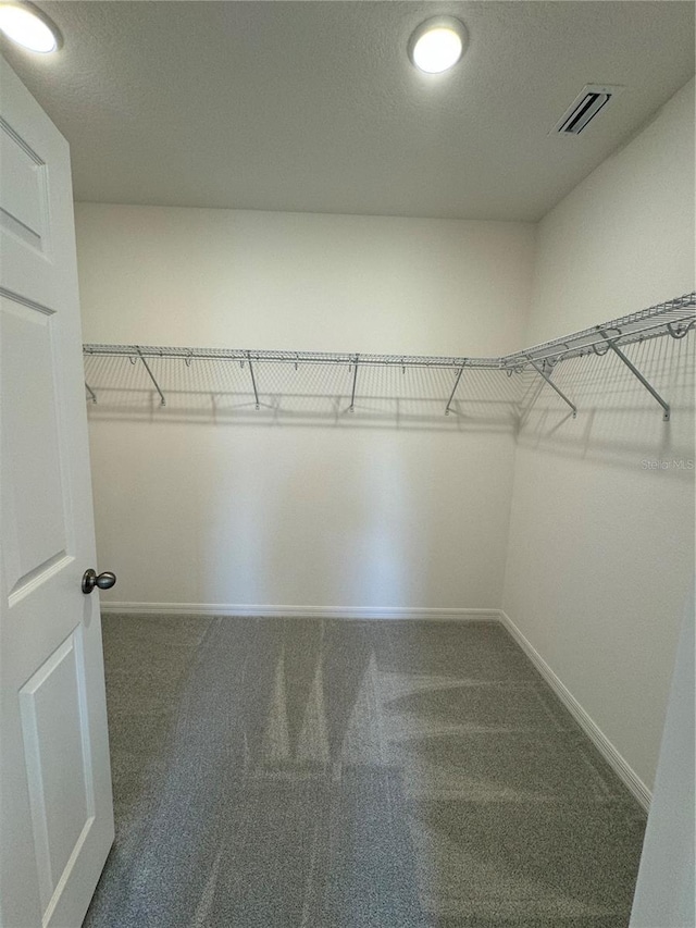 spacious closet with carpet