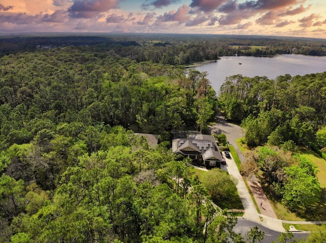 aerial view at dusk with a water view