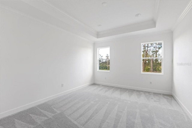 carpeted empty room with crown molding and a raised ceiling