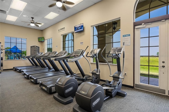 exercise room featuring a drop ceiling, dark colored carpet, and ceiling fan