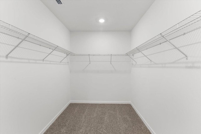 spacious closet with carpet floors