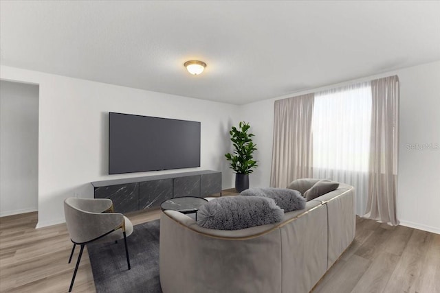 living room featuring light hardwood / wood-style flooring