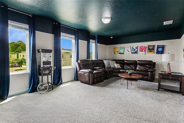 cinema with a wealth of natural light, carpet, and a textured ceiling