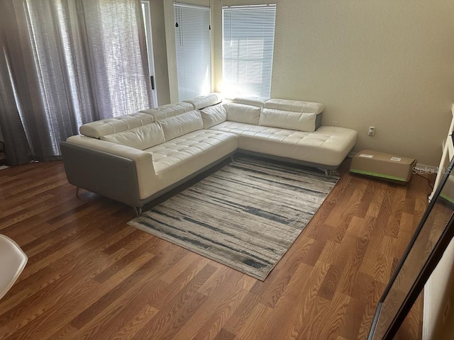 living room featuring dark hardwood / wood-style floors