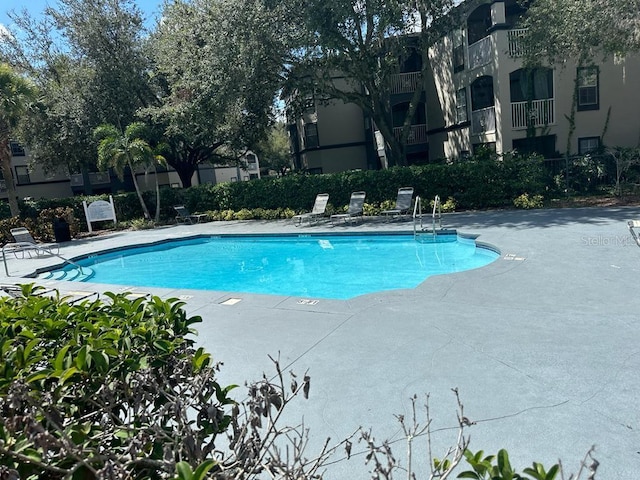 view of swimming pool