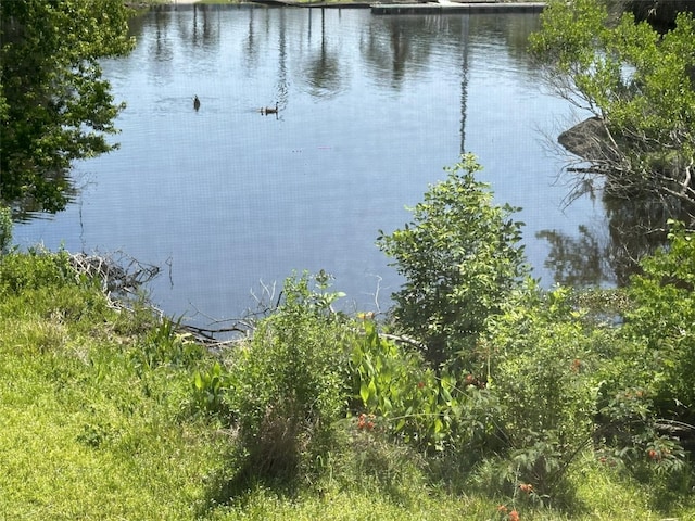 view of property view of water