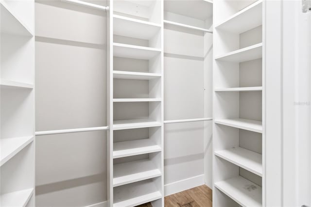 walk in closet featuring wood-type flooring