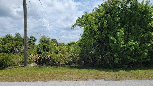 13516 High Springs Ave, Port Charlotte FL, 33981 land for sale