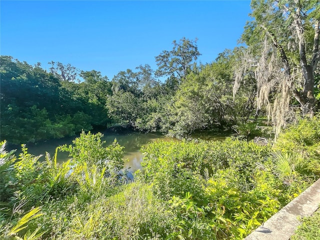 view of local wilderness featuring a water view