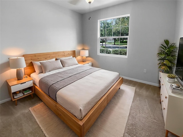 33083 Windelstraw Dr, Wesley Chapel, FL 33545 - carpeted bedroom with baseboards