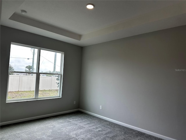 spare room featuring a raised ceiling and carpet