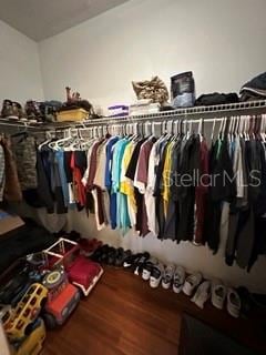 spacious closet featuring hardwood / wood-style floors