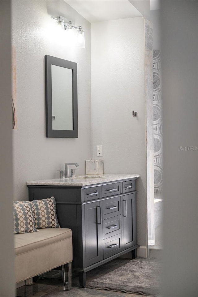 bathroom with wood-type flooring and large vanity