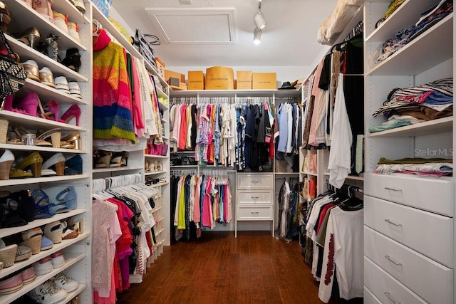 walk in closet featuring dark wood-type flooring