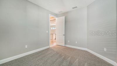 empty room featuring carpet