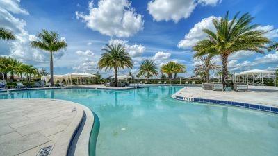 view of swimming pool with a patio