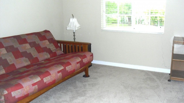 sitting room with baseboards and carpet floors