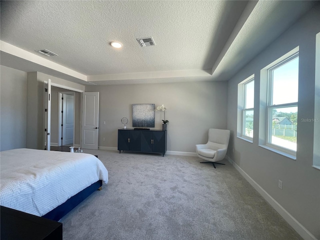 bedroom with a raised ceiling, carpet, and a textured ceiling