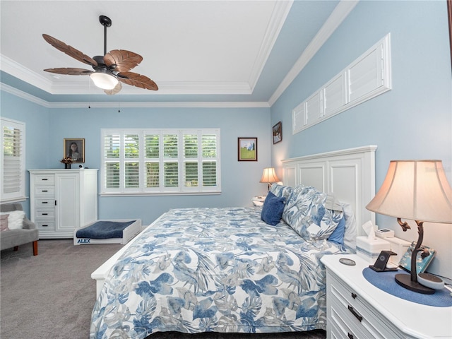 carpeted bedroom with crown molding, ceiling fan, a raised ceiling, and multiple windows