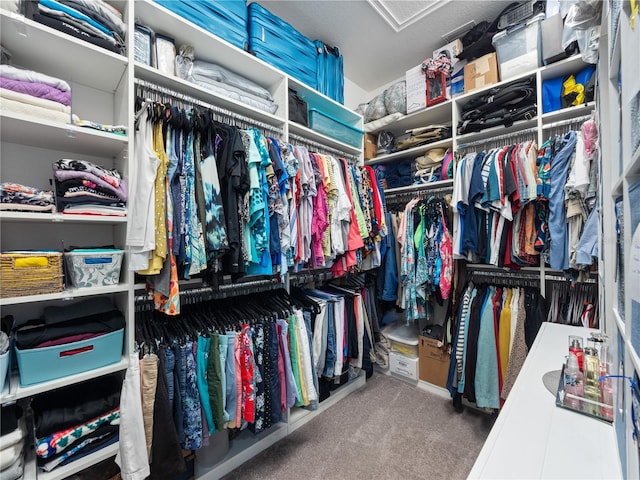 walk in closet featuring carpet flooring