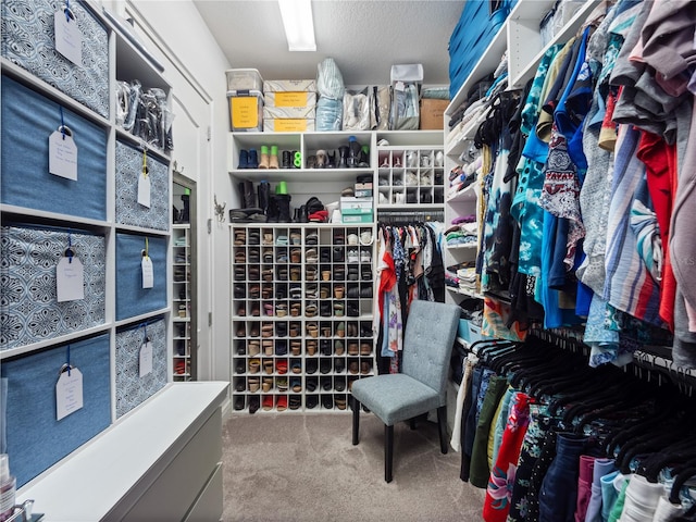 walk in closet with carpet