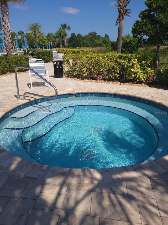 view of swimming pool with a patio