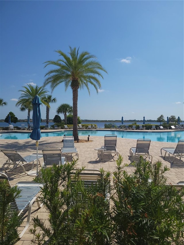 view of pool with a patio area