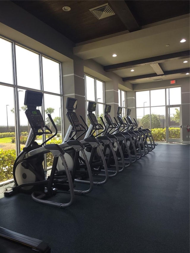 workout area featuring a healthy amount of sunlight