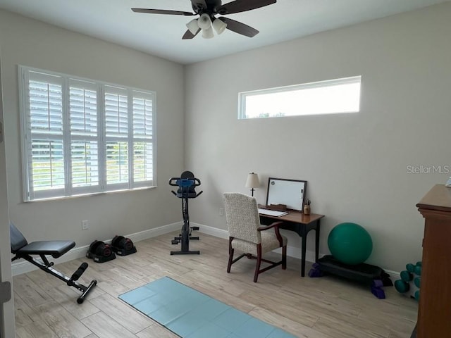 workout area featuring light hardwood / wood-style flooring and ceiling fan