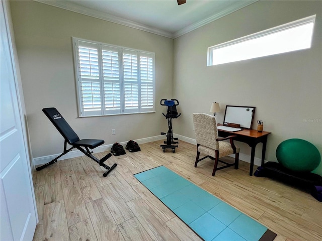 3962 Kennebunk Loop, Mount Dora, FL 32757 - exercise area featuring crown molding, wood finished floors, and baseboards