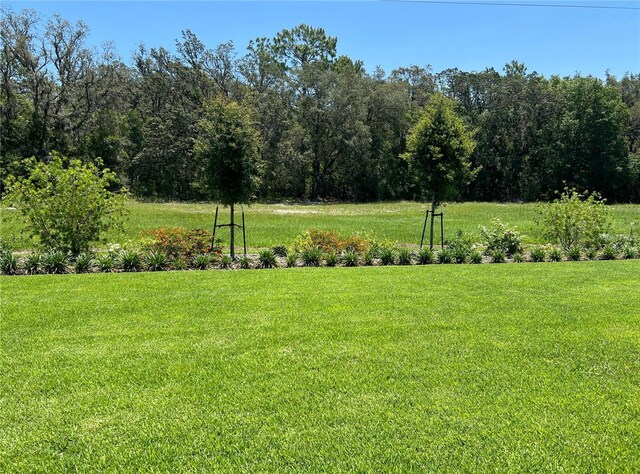 3962 Kennebunk Loop, Mount Dora, FL 32757 - photo 26