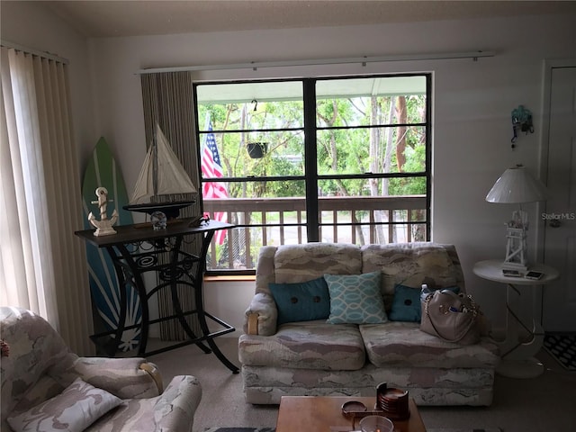 carpeted living room with a wealth of natural light