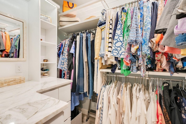 view of walk in closet