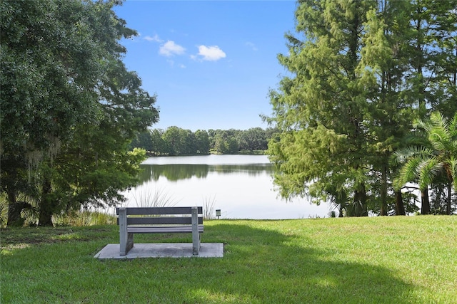 view of property's community with a lawn and a water view