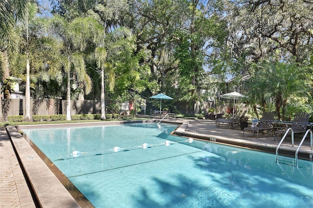 view of swimming pool with a patio area