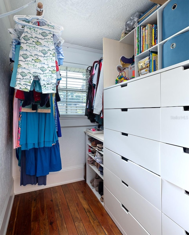 spacious closet featuring hardwood / wood-style floors