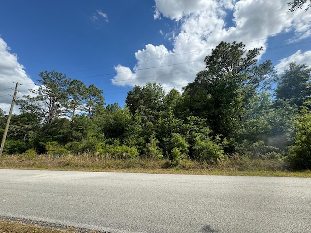 Sea Cliff Ave, Dunnellon FL, 34431 land for sale