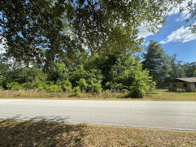 Listing photo 2 for Sea Cliff Ave, Dunnellon FL 34431