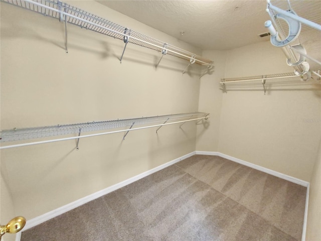 walk in closet with carpet floors