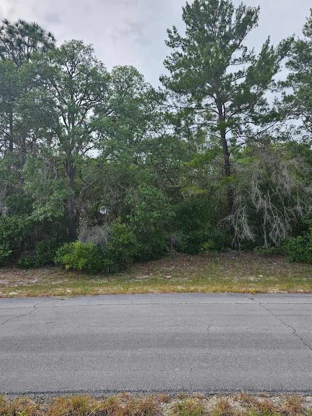 SW 145th Place Rd, Dunnellon FL, 34432 land for sale