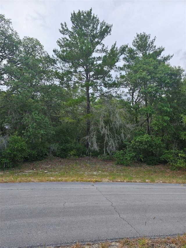 Listing photo 2 for SW 145th Place Rd, Dunnellon FL 34432