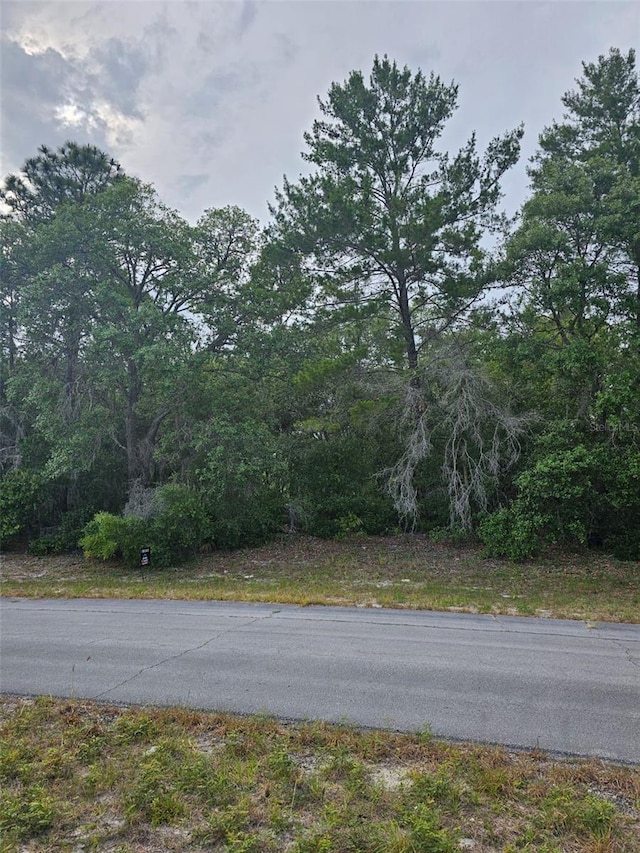 Listing photo 3 for SW 145th Place Rd, Dunnellon FL 34432